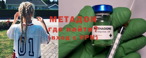 прущие грибы Калининец