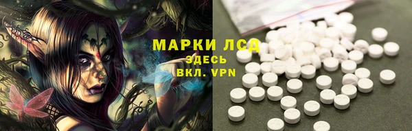 стафф Нестеровская