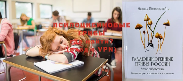 ешки Михайловск