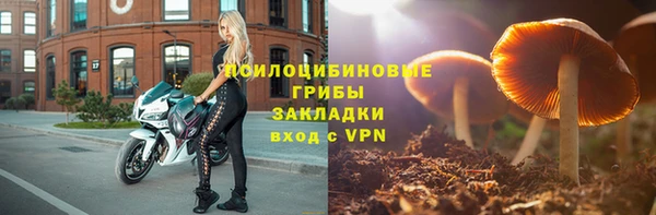ешки Михайловск