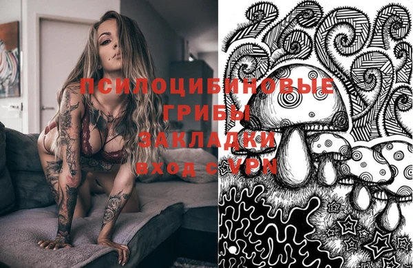 индика Ладушкин