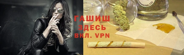 индика Ладушкин