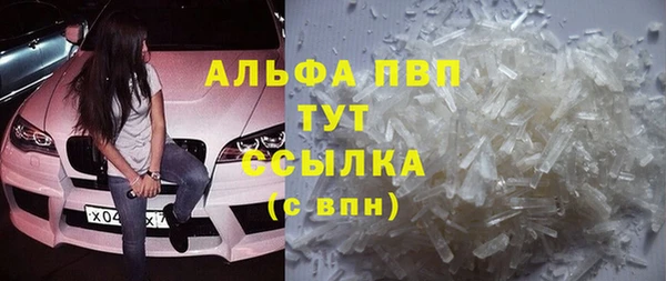 индика Ладушкин