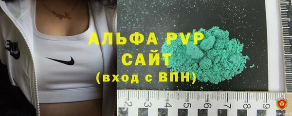 прущие грибы Ижевск
