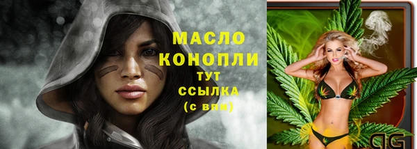 прущий лед Михайлов