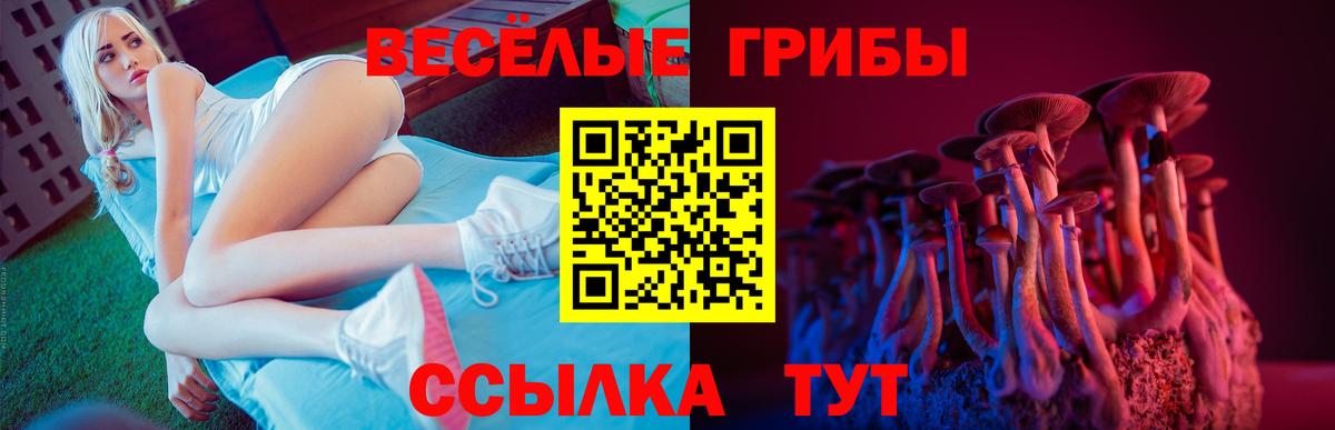 Псилоцибиновые грибы Psilocybe  Галлюциногенные грибы Psilocybine cubensis  Холмск  Вход с VPN 